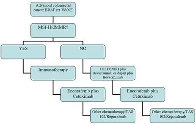 Current Therapeutic Strategies in BRAF-Mutant Metastatic Colorectal Cancer